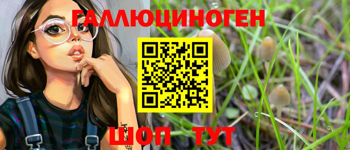 Избербаш  Псилоцибиновые грибы Magic Shrooms  Вход с VPN  Галлюциногенные грибы прущие грибы 